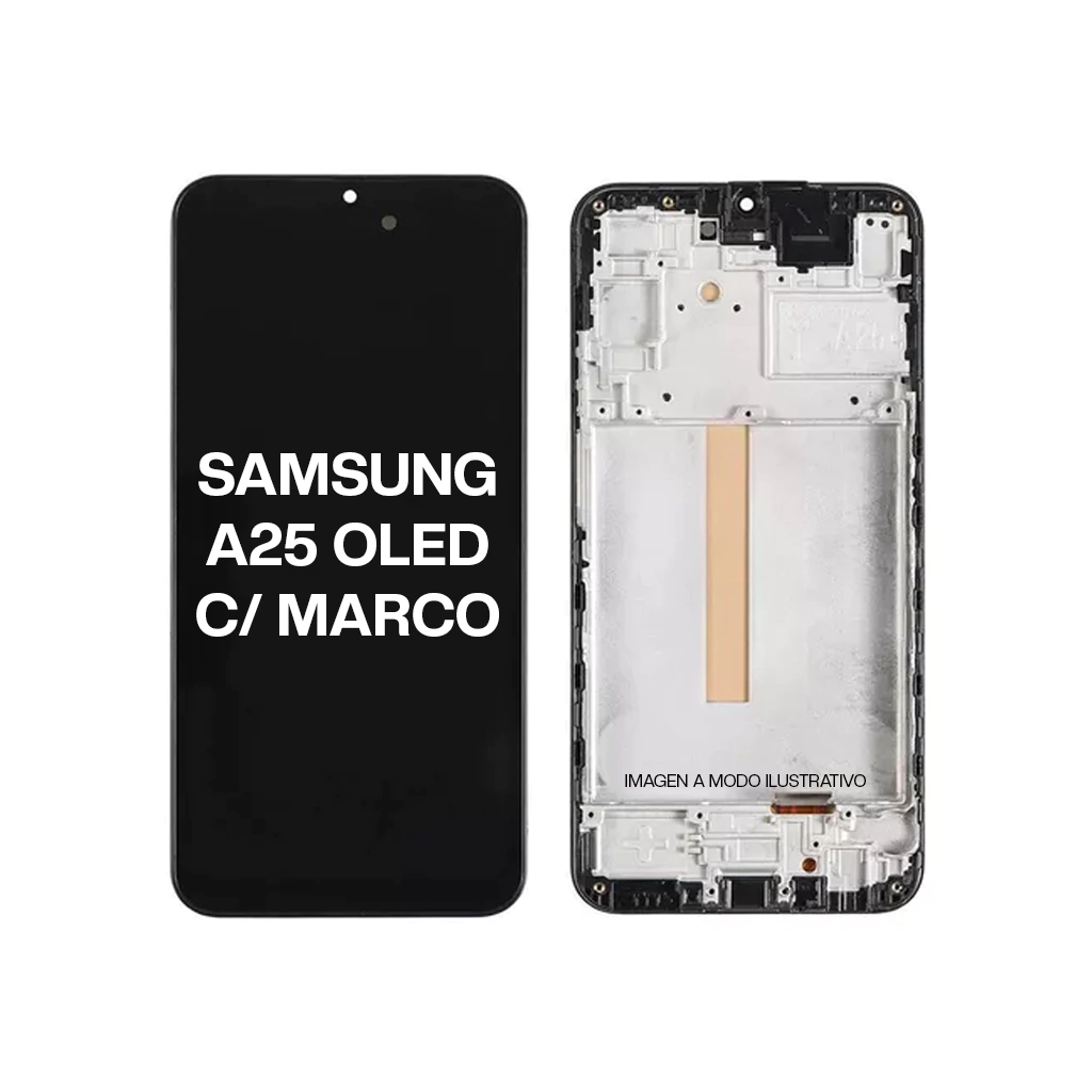 MODULO A25 OLED C/M